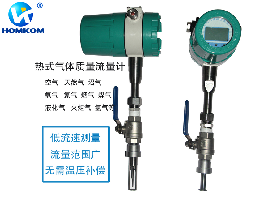 插入式气体质量流量计